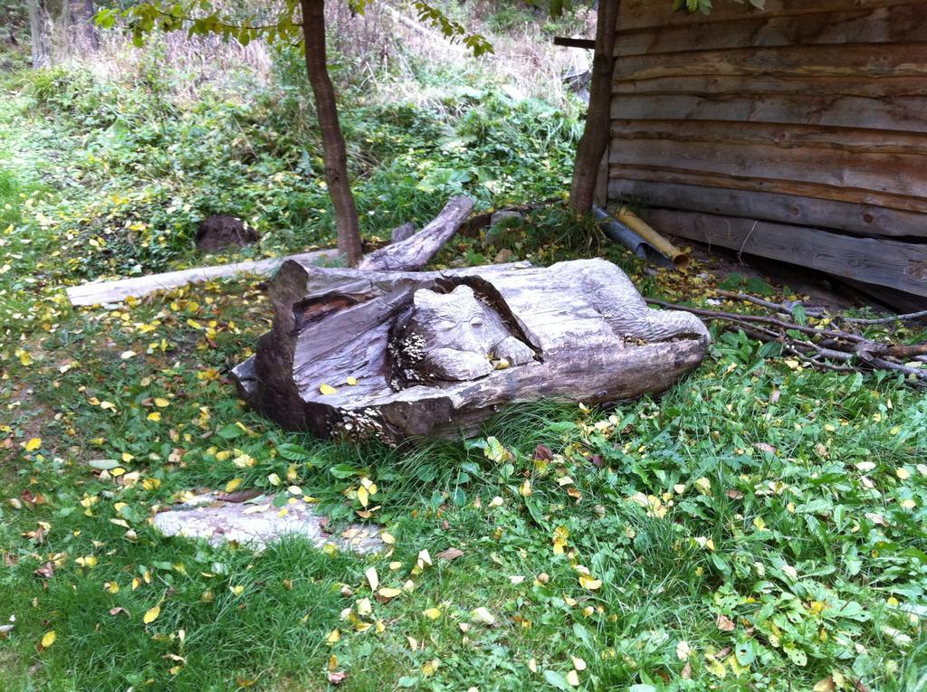Chata Devena Valča Pokoj fotografie